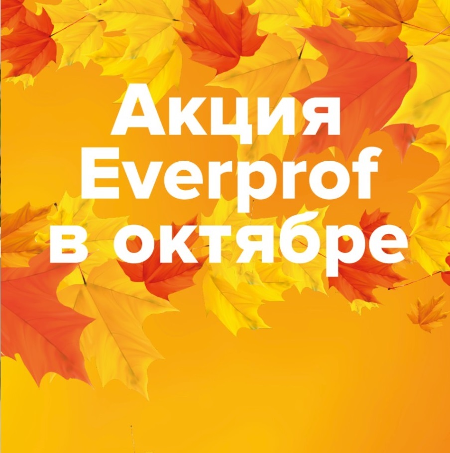 Дополнительные скидки на кресла EverProf